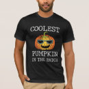 Search for the pumpkin patch Funny