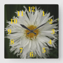 Recherche de fleurs blanches horloges Toute personne