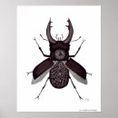 Search for conceptus posters Artist