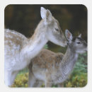 Search for deer stand stickers Wildlife