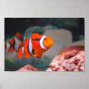 Search for nemo posters Clown