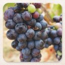 Recherche de vin rouge dessous de verres Vacances