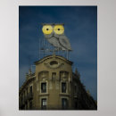 Search for seem posters Owls