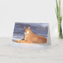 Search for cougar cards Puma