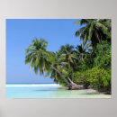 Search for maldives posters Tropical