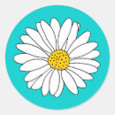 Search for turquoise daisy stickers Daisies