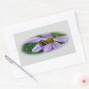 Search for petals rectangle stickers Summer