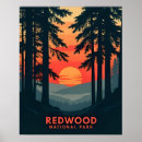 Search for rainforest art Retro travel