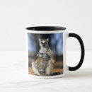 Search for ring tailed mugs Cute