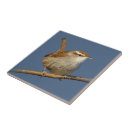 Recherche de curieux carreaux Jardin