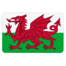 Recherche de drapeau pays galles magnets Baleines