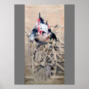 Recherche de poule de coq posters Oiseau