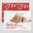 Search for kitten christmas cards Script