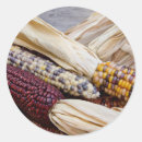 Search for fall vegetable stickers Autumn