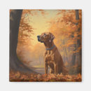 Search for ridgebacks magnets Pet