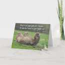 Search for funny camel birthday cards Camels