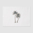 Search for palm tree tissue paper Trees