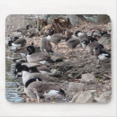 Search for park mousepads Leaves