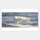 Search for shepards stickers Dog