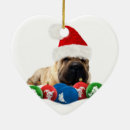 Search for shar pei ornaments Dog