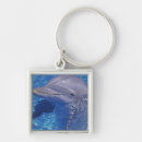 Search for dolphin keychains Aquarium