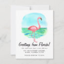 Search for flamingo moving announcement cards Change of address