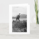 Search for alaska eagle cards Eagles