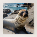 Search for seal puzzles Nature