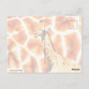 Search for digital animals postcards Pattern