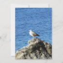 Recherche de mouettes vœux cartes Paysage marin