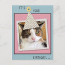 Recherche de poker anniversaire cartes Drôle
