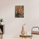 Recherche de arbre avec racines posters Racine de l'arbre