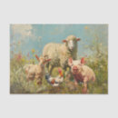 Search for goat tissue paper Sheep