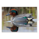 Recherche de drague cartes postales Oiseau