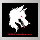 Search for judo posters Kung fu