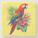 Search for macaws coasters Parrot
