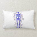 Search for skeleton pillows Anatomy