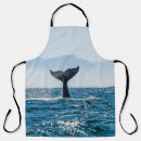 Search for whale aprons Sea