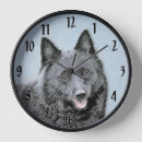 Recherche de schipperke art Noir
