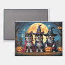 Recherche de laponie magnets Animal