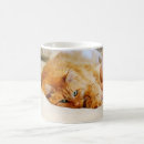 Search for sweet cat mugs Fluffy