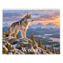 Recherche de loups calendriers Amoureux des loups