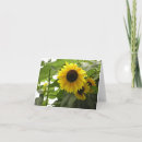 Search for sunflower christmas cards Summer