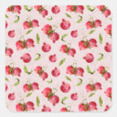 Search for pomegranate stickers Botanical illustration
