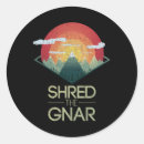 Search for speed skiing stickers Carving turns