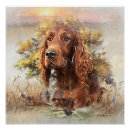 Search for irish setter posters Hunting dog
