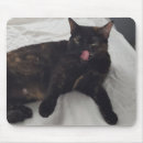 Search for tortoiseshell mousepads Cat