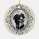 Search for silver frame ornaments Modern