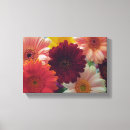 Search for daisy pictures canvas prints Daisies