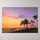 Search for tropical climate posters Palm tree